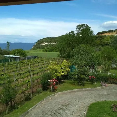 Sotiria House Apartment Sea View Lovely Garden Ierissós Buitenkant foto
